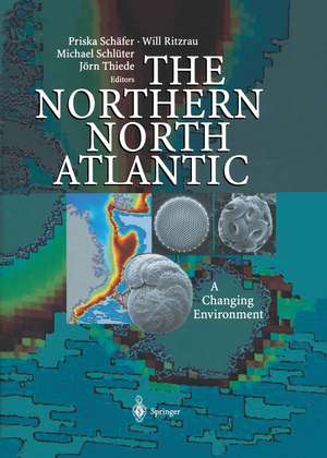 The Northern North Atlantic: A Changing Environment de Priska Schäfer