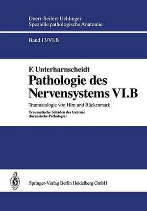 Pathologie des Nervensystems VI.B: Traumatologie von Hirn und Rückenmark Traumatische Schäden des Gehirns (forensische Pathologie) de F. Unterharnscheidt