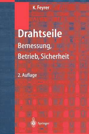 Drahtseile: Bemessung, Betrieb, Sicherheit de Klaus Feyrer