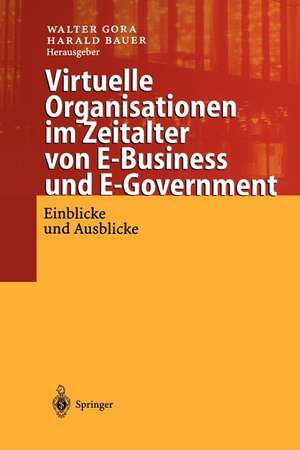 Virtuelle Organisationen im Zeitalter von E-Business und E-Government: Einblicke und Ausblicke de Walter Gora