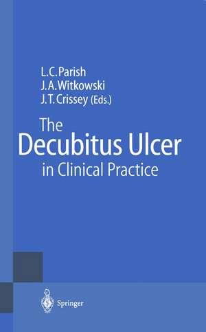 The Decubitus Ulcer in Clinical Practice de Lawrence C. Parish