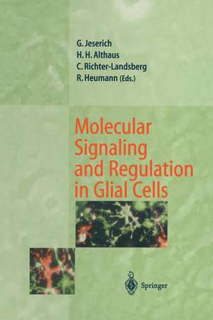 Molecular Signaling and Regulation in Glial Cells: A Key to Remyelination and Functional Repair de Gunnar Jeserich