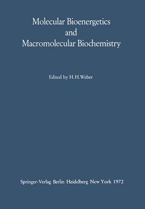 Molecular Bioenergetics and Macromolecular Biochemistry: Meyerhof-Symposium Heidelberg, July 5–8, 1970 de Hans H. Weber