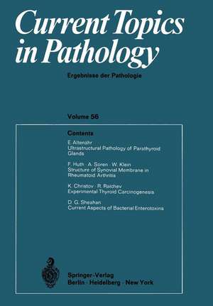 Current Topics in Pathology / Ergebnisse der Pathologie de Hans-W. Altmann