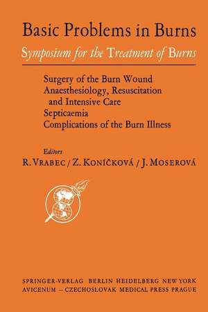 Basic Problems in Burns: Proceedings of the Symposium for Treatment of Burns held in Prague, Sept. 13—15, 1973 de R. Vrabec