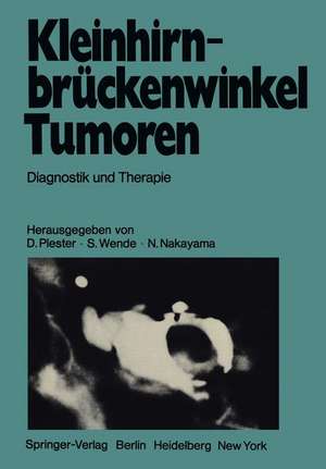 Kleinhirnbrückenwinkel-Tumoren: Diagnostik und Therapie de J. P. Braun