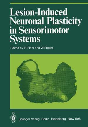 Lesion-Induced Neuronal Plasticity in Sensorimotor Systems de H. Flohr