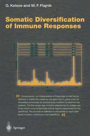 Somatic Diversification of Immune Responses de Garnett Kelsoe