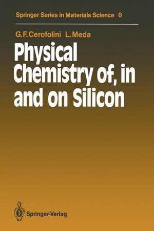 Physical Chemistry of, in and on Silicon de Gianfranco F. Cerofolini