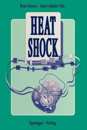 Heat Shock de Bruno Maresca