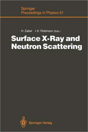 Surface X-Ray and Neutron Scattering: Proceedings of the 2nd International Conference, Physik Zentrum, Bad Honnef, Fed. Rep. of Germany, June 25–28, 1991 de Hartmut Zabel