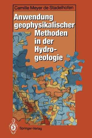 Anwendung geophysikalischer Methoden in der Hydrogeologie de Camille Meyer de Stadelhofen