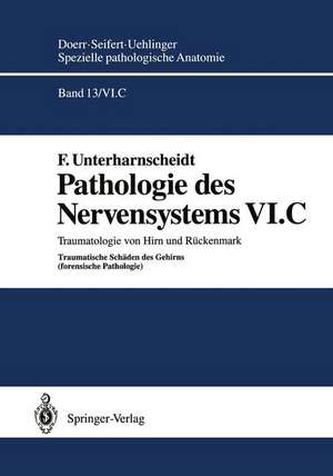 Pathologie des Nervensystems VI.C: Traumatologie von Hirn und Rückenmark Traumatische Schäden des Gehirns (forensische Pathologie) de F. Unterharnscheidt