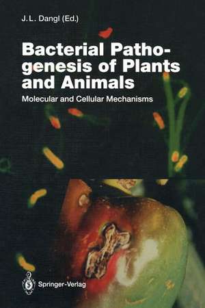 Bacterial Pathogenesis of Plants and Animals: Molecular and Cellular Mechanisms de Jeffrey L. Dangl