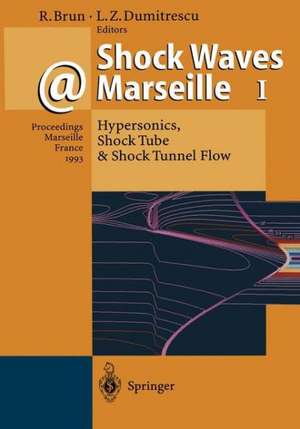 Shock Waves @ Marseille I: Hypersonics, Shock Tube & Shock Tunnel Flow de Raymond Brun