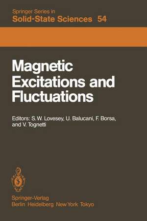 Magnetic Excitations and Fluctuations: Proceedings of an International Workshop, San Miniato, Italy, May 28 – June 1, 1984 de S. W. Lovesey