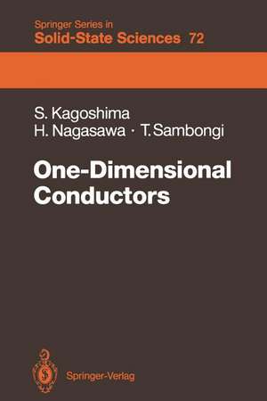 One-Dimensional Conductors de Seiichi Kagoshima