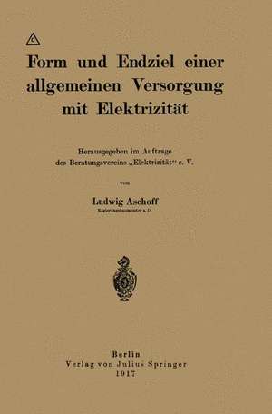 Form und Endziel einer allgemeinen Versorgung mit Elektrizität: Herausgegeben im Auftrage des Beratungsvereins „Elektrizität“ e. V. de Ludwig Aschoff