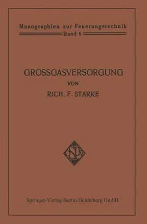 Großgasversorgung: Technik und Wirtschaft der Fernleitung der Gase unter hohem Druck als Grundlage für eine Großgasverwertung der Kohlenenergie in Deutschland mit zentraler Gaserzeugung in den Steinkohlen- und Braunkohlen-Revieren de Rich. F. Starke