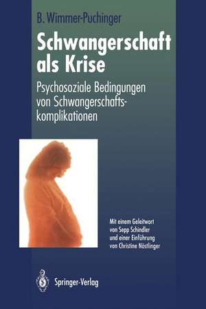 Schwangerschaft als Krise: Psychosoziale Bedingungen von Schwangerschaftskomplikationen de Beate Wimmer-Puchinger