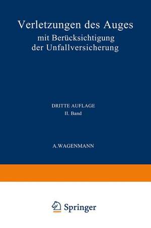 Verletzungen des Auges: Mit Berücksichtigung der Unfallversicherung de A. Wagenmann