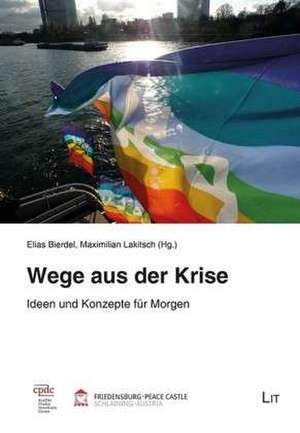 Wege aus der Krise de Elias Bierdel