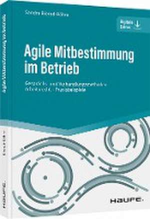 Agile Mitbestimmung im Betrieb - inkl. Arbeitshilfen online de Sandra Bierod-Bähre