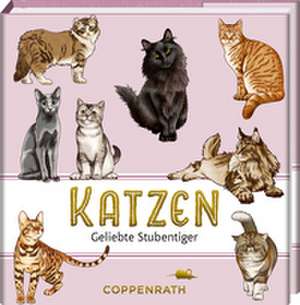 Katzen de Julia Gerigk