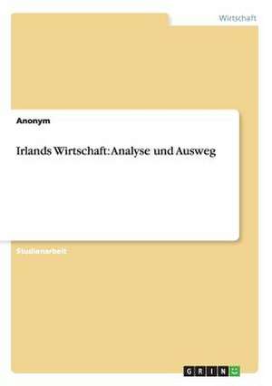 Irlands Wirtschaft: Analyse Und Ausweg de Anonym