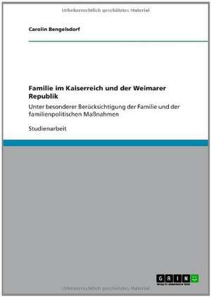 Familie im Kaiserreich und der Weimarer Republik de Carolin Bengelsdorf