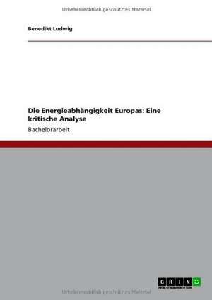 Die Energieabhängigkeit Europas: Eine kritische Analyse de Benedikt Ludwig