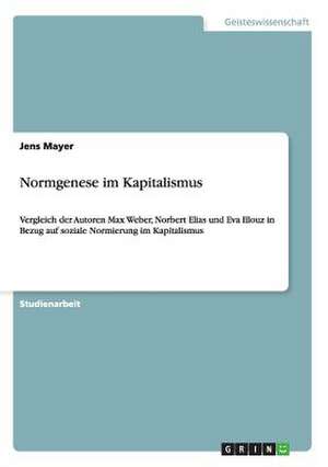 Normgenese im Kapitalismus de Jens Mayer