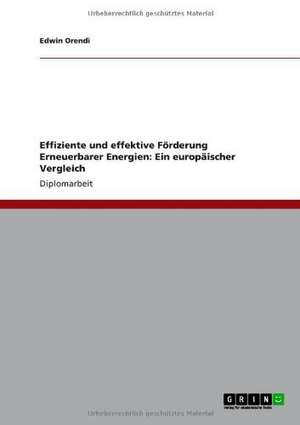 Effiziente und effektive Förderung Erneuerbarer Energien: Ein europäischer Vergleich de Edwin Orendi