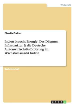 Indien braucht Energie! Das Dilemma Infrastruktur & die Deutsche Außenwirtschaftsförderung im Wachstumsmarkt Indien de Claudia Endter