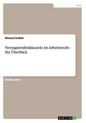 Vertragsstrafenklauseln im Arbeitsrecht de Manuel Sedlak