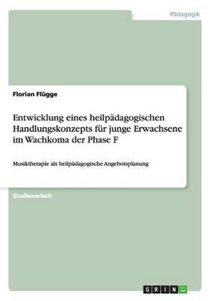 Entwicklung eines heilpädagogischen Handlungskonzepts für junge Erwachsene im Wachkoma der Phase F de Florian Flügge