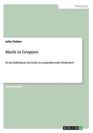 Macht in Gruppen de Julia Trebes