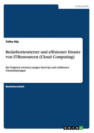 Bedarfsorientierter und effizienter Einsatz von IT-Ressourcen (Cloud Computing) de Talha Alp