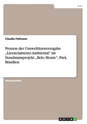 Prozess der Umweltlizenzvergabe "Licenciamento Ambiental" im Staudammprojekt "Belo Monte", Pará, Brasilien de Claudia Fallmann