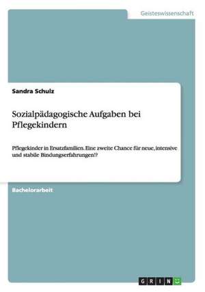 Sozialpädagogische Aufgaben bei Pflegekindern de Sandra Schulz