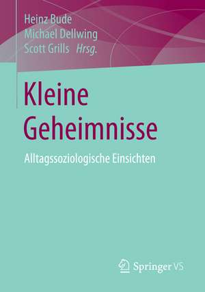 Kleine Geheimnisse: Alltagssoziologische Einsichten de Heinz Bude