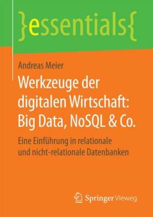 Werkzeuge der digitalen Wirtschaft: Big Data, NoSQL & Co.: Eine Einführung in relationale und nicht-relationale Datenbanken de Andreas Meier