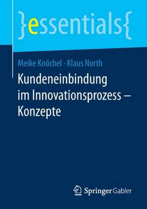 Kundeneinbindung im Innovationsprozess – Konzepte de Meike Knöchel