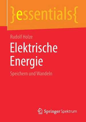 Elektrische Energie: Speichern und Wandeln de Rudolf Holze