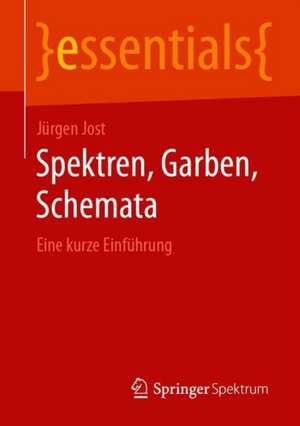 Spektren, Garben, Schemata: Eine kurze Einführung de Jürgen Jost