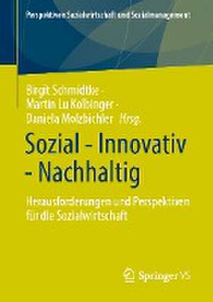 Sozial - Innovativ - Nachhaltig: Herausforderungen und Perspektiven für die Sozialwirtschaft de Birgit Schmidtke