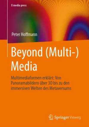 Beyond (Multi-) Media de Peter Hoffmann
