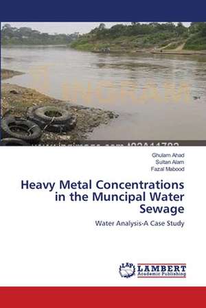 Heavy Metal Concentrations in the Muncipal Water Sewage de Ghulam Ahad