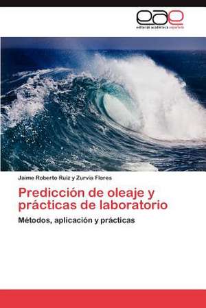 Prediccion de Oleaje y Practicas de Laboratorio