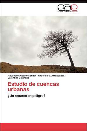 Estudio de Cuencas Urbanas